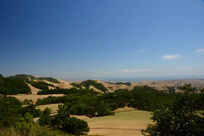 DSC_2490 (Large).JPG